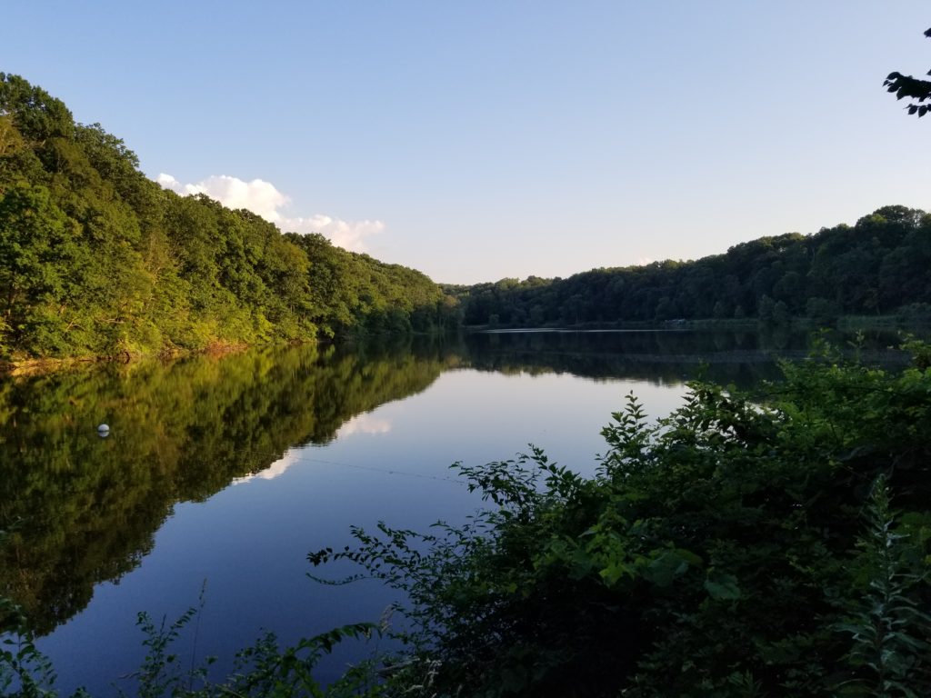 Connect With Nature at Mill Creek Park